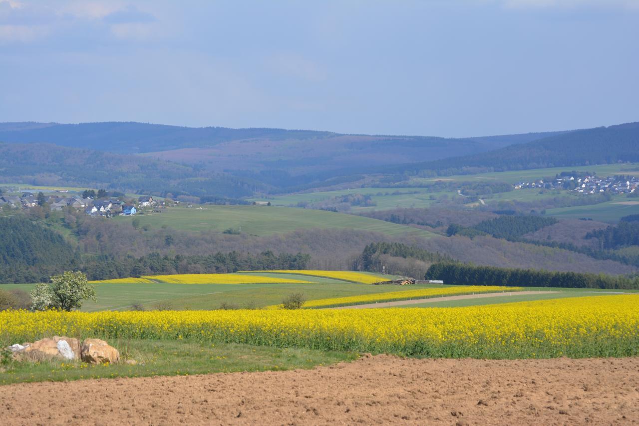 B&B Prosterath-Hochwald エクステリア 写真